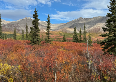 Landscape view near Mountain Vista overlook and trail