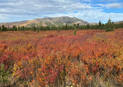 Landscape view near Mountain Vista overlook and trail