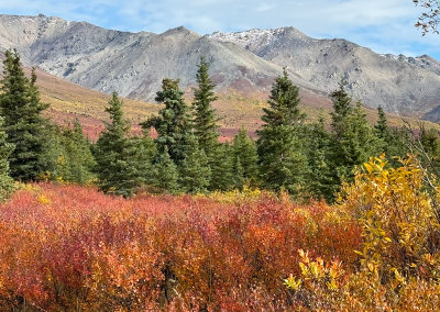 Landscape view near Mountain Vista overlook and trail