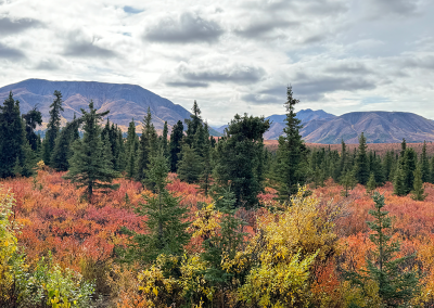 Landscape view near Mountain Vista overlook and trail