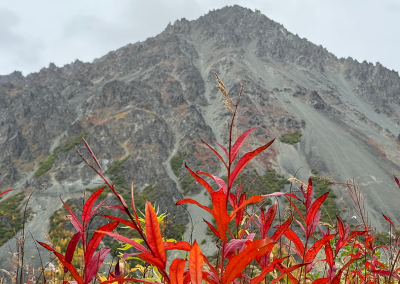 Eocene volcano- Cantwell formation