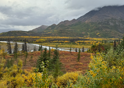 Jack River Basin near Cantwell