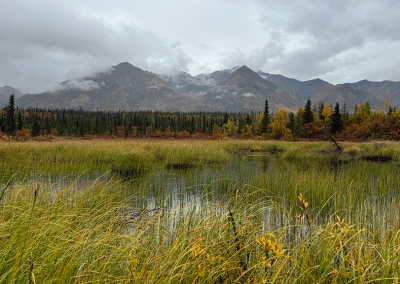 Pond and mountains