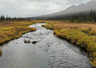 Stream along Denali Highway