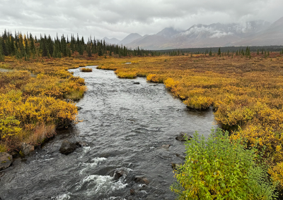 Stream along Denali Highway