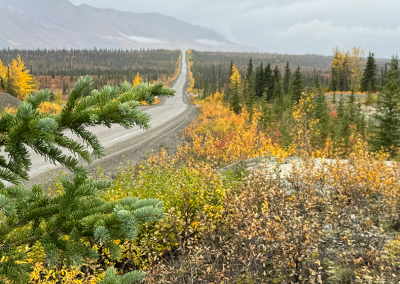 Old Denali Highway (gravel road)