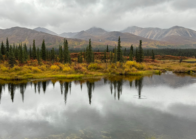 Reflections of trees and mountains in pond