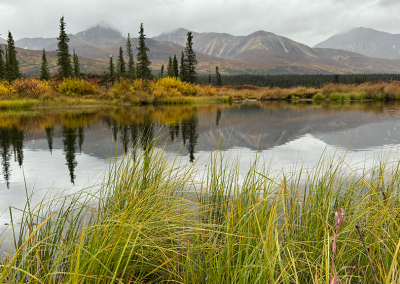 Reflections of trees and mountains in pond