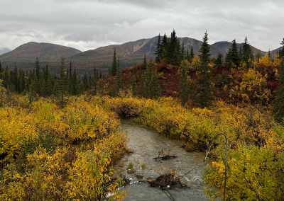 Stream near Cantwell